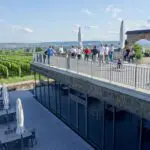 Rheingau views – just 40 minutes from Frankfurt Steinberger in Rheingau - a view from the terrrace - (picture credit: Deutsches Weininstitut)